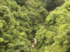 -鹿院坪生态旅游景区