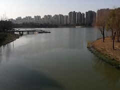 -南翔镇银翔湖公园
