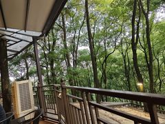 -巴倒烫陆派火锅山庄(南山总店)