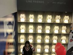 -line friends(明洞旗舰店)