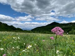 -白草畔自然风景区