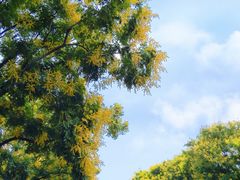 -玄武湖景区-情侣园游乐场