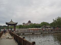 -莲花池公园