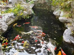 -观澜湖旅游度假区
