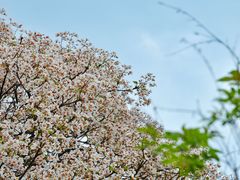 -舒家湾天主教堂