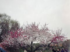 -汉陵苑