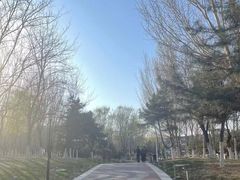 -莫子山公园