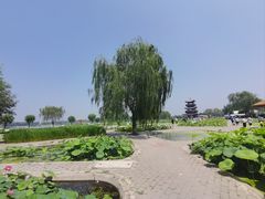 -白洋淀风景区