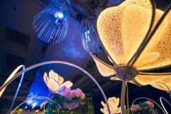 -艾米婚纱&婚礼策划