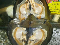 -蚝专家(北滘店)