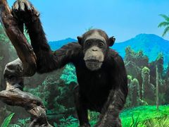 -国家自然博物馆