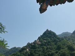 -沣峪口