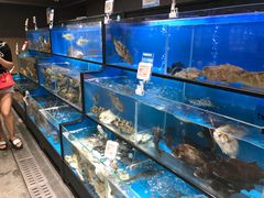 -盒马鲜生(皇庭广场店)