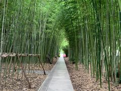 -上海市龙华烈士陵园