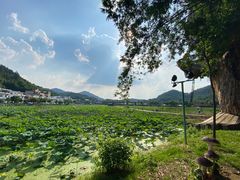-红山村