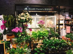 -豆豆花艺(新光天地店)