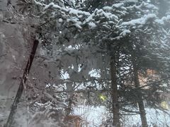 -汉拿山温泉度假酒店