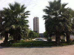 IMG_6946-同济大学(嘉定校区)