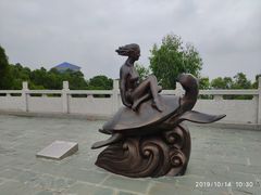 -广东惠东海龟国家级自然保护区