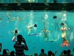 -瑞德姆美人鱼海底演艺主题餐厅(亚龙湾店)