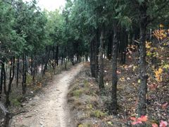 -鬼笑石后山停车场