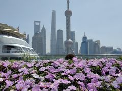 -北外滩滨江绿地