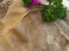 -胡掌柜·火锅串串香(安国市店)