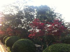 -南京市江宁方山