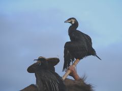 -楠溪江风景名胜区