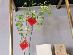 -Home Cafe(水榭春天店)