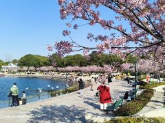 -新江湾城公园