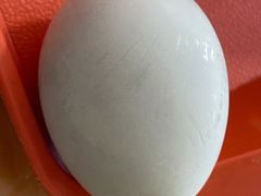 -费记胡辣汤(总店)