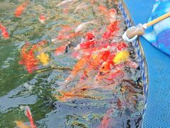 -喷泉广场餐厅·宵夜·海鲜烧烤大排档(长隆企鹅酒店)