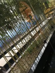 -爱儿美儿童摄影(朝阳公园店)