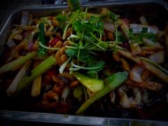 烤鱼-大湾金牌万州烤鱼(沙河店)