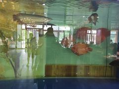 -大草原清真饭庄(沙河店)