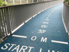 -银湖山郊野公园-相思林