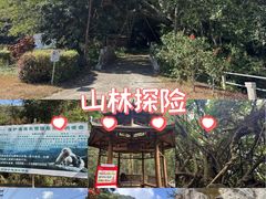 -霸王岭国家森林公园