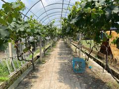 -美家乐农庄·露营·团建(大治路店)