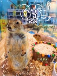 -神奇动物撸宠馆·羊驼·小浣熊·异宠(豫园店)
