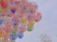 -上海迪士尼度假区