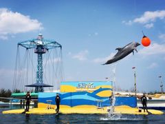 -秦皇岛乐岛海洋王国