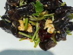 -洞庭家宴·头牌甲鱼(广渠门店)