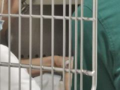 -艾贝尔宠物医院·24H转诊中心·肿瘤猫专科(江宁双龙店)