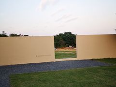 -龙坞茶村