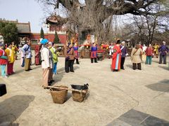 -大槐树寻根祭祖园