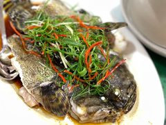 生炊石斑鱼-光兴海鲜排档·小炒(莱利园店)