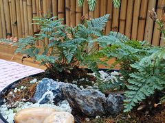 -老房子金沙元年川菜食府·花园餐厅(金沙店)