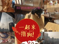 -豆柴町-柴犬主题狗咖(红鼎国际C座店)