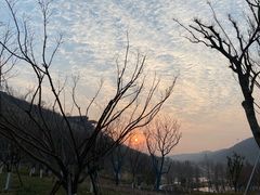 -比格比萨自助(南京万达茂店)